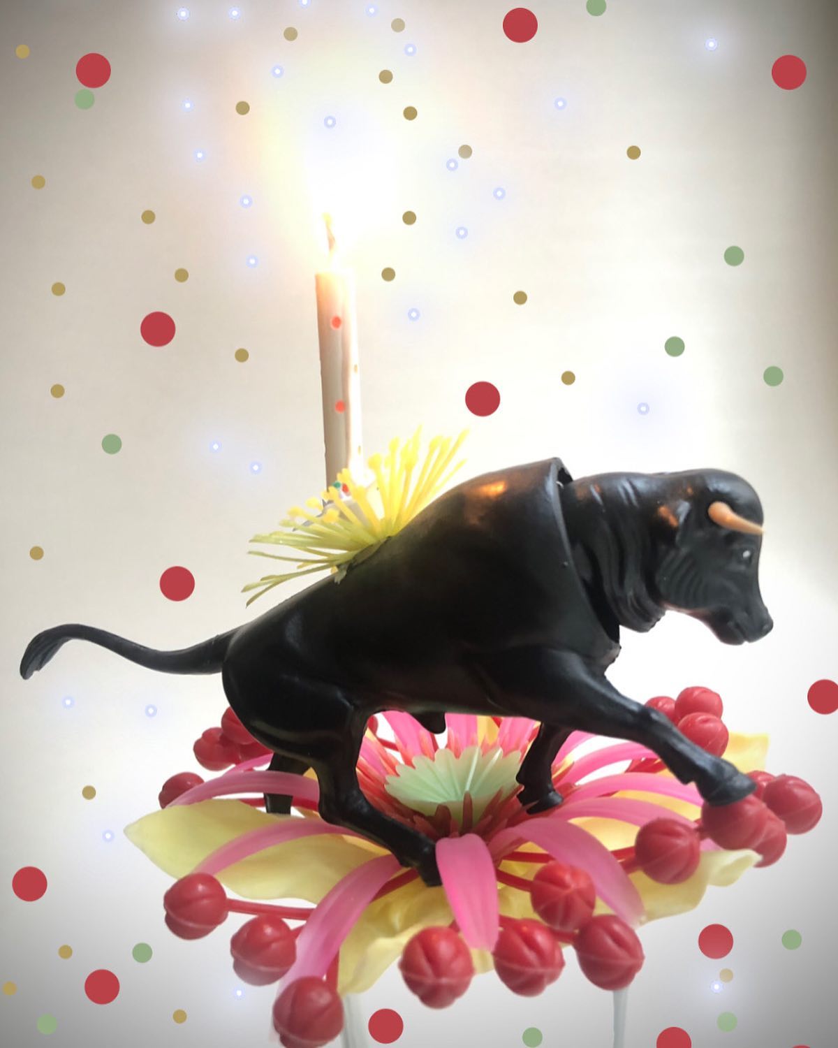 342230487_1219684382008445_3166802950644158951_n